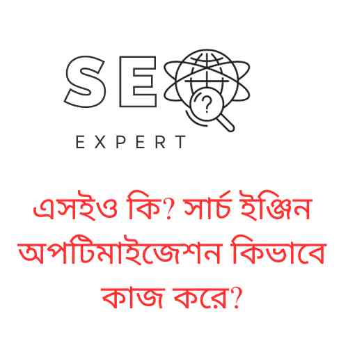 এসইও কি? সার্চ ইঞ্জিন অপটিমাইজেশন কিভাবে কাজ করে?
